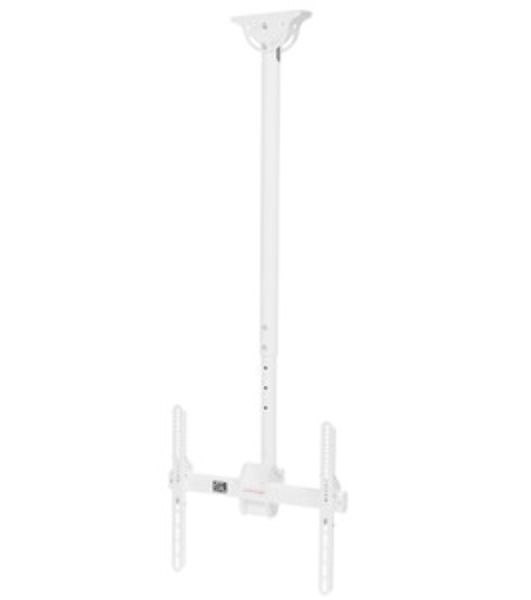 Кронштейн для телевизора Arm Media LCD-1700 белый, 26"-65" макс. 55 кг, потолочный, наклон