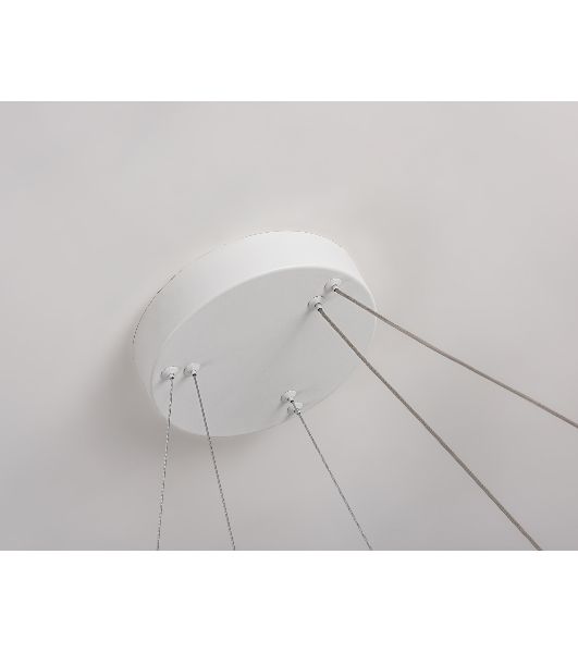 Подвесной светодиодный светильник Ambrella light FL5862/2 WH белый 45W 3000K/4200K/6400K D600/400*830 (без ПДУ)