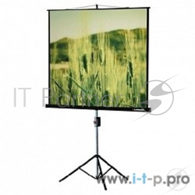 Экраны LUMIEN Lumien Экран на треноге 180x180 см Eco View LEV-100102 1:1 с возможностью настенного крепления