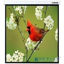 Экраны LUMIEN LUMIEN Master Picture LMP-100129 220*220 1:1, черная кайма по периметру