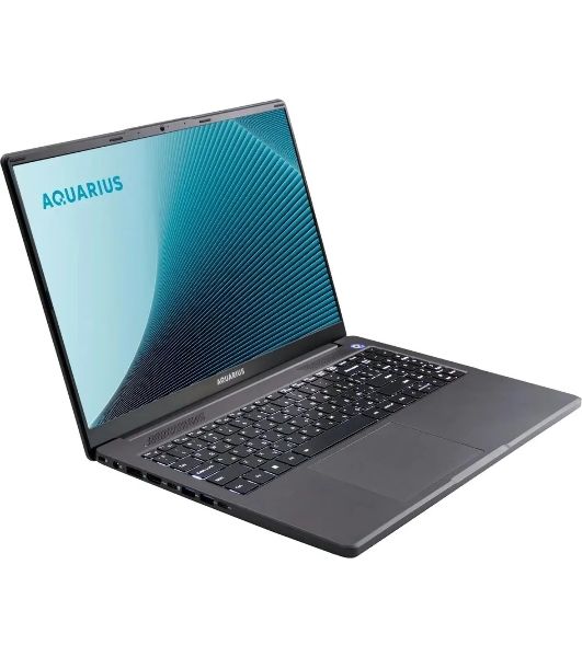 Ноутбук Aquarius Cmp NE356 Ryzen 5 6600H 16Gb SSD512Gb 16" WUXGA без ОС WiFi BT (RCNNE356153328S151SCN2TN NNNN2)