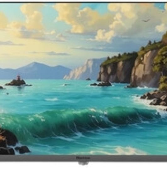 Телевизор Blackton 24" Bt 24F34B черный/серый LED HD 60Hz