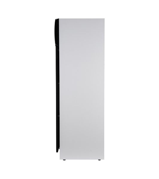 Акустическая система ELTRONIC (30-58) HOME SOUND - колонка 10", белый
