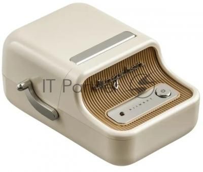 Термопринтер Niimbot B21 Pro white (1746796) 300dpi 60мм/с/USB/BT для печ.этик. белый Термопринтер Niimbot B21 Pro white (1746796) 300dpi 60мм/с/USB/BT для печ.этик. белый