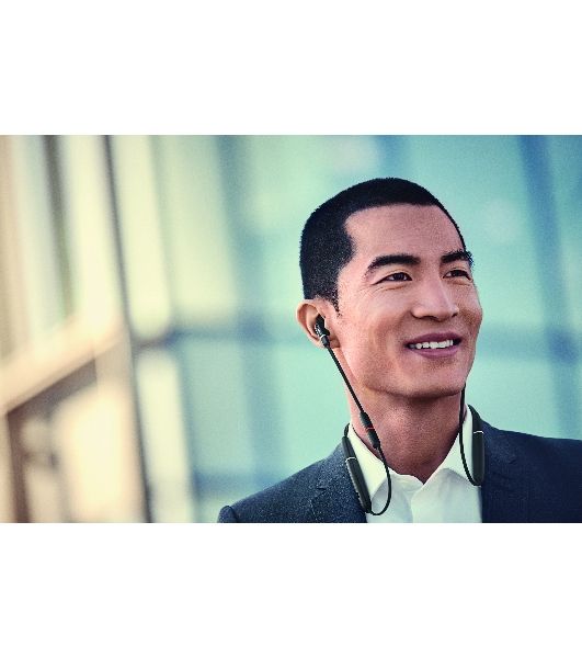 Гарнитура беспроводная Jabra Evolve 65e MS & Link 370