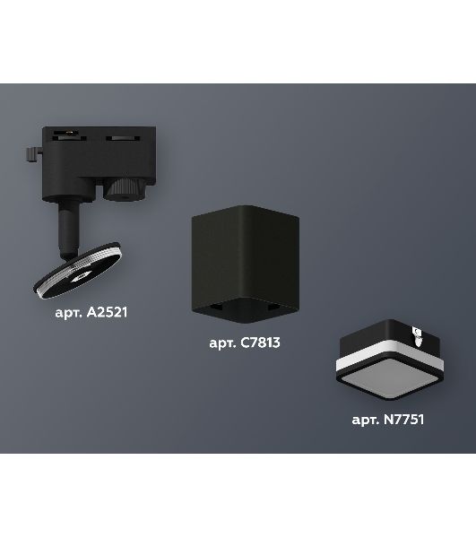 Светильник Ambrella light XT7813021 SBK/FR черный песок/белый матовый MR16 GU5.3 (A2521, C7813, N7751)