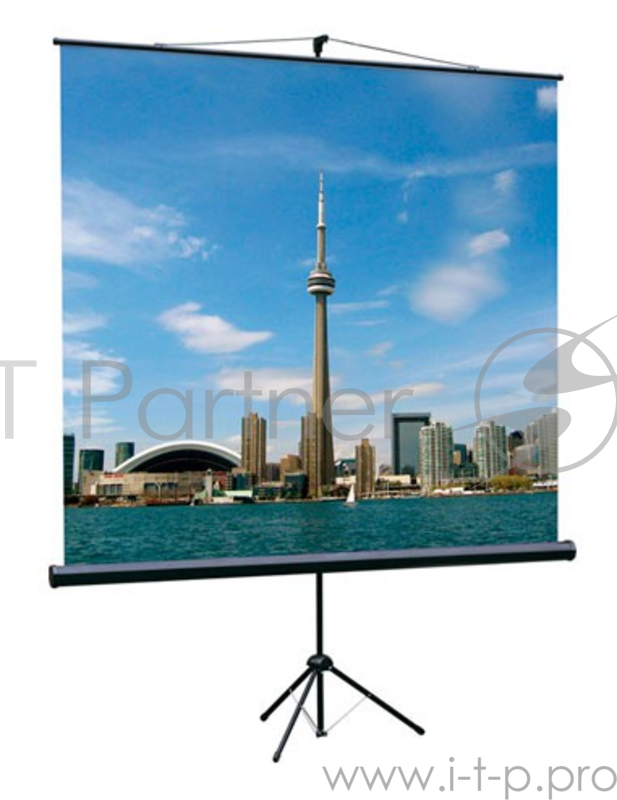 Экраны LUMIEN Lumien Экран на треноге 180x180 см Eco View LEV-100102 1:1 с возможностью настенного крепления