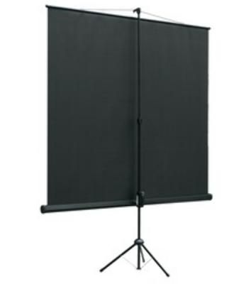 Экран на штативе Lumien Eco View 115x200см (раб.область109х194 см) (88") Matte White 16:9