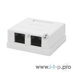 Розетка GEMBIRD NA214 RJ-45 кат.5e внешняя 2 порта, 110/Krone