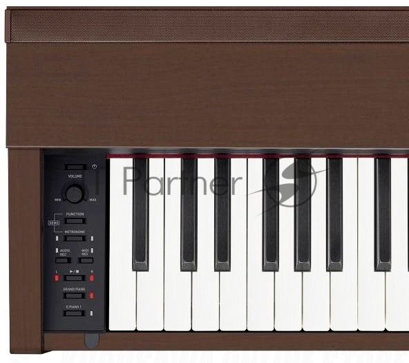 Цифровое фортепиано Casio PRIVIA PX-870BN 88клав. коричневый