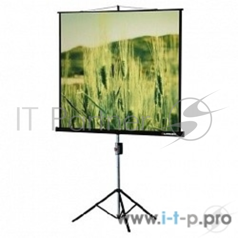 Экраны LUMIEN Lumien Экран на треноге 180x180 см Eco View LEV-100102 1:1 с возможностью настенного крепления