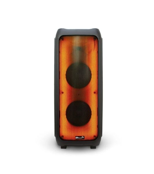 Колонка Eltronic 10" динамик 2шт/10" с TWS 100 Вт черный