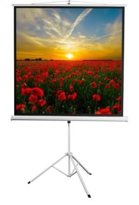 Экран 172x172см Digis Kontur-D DSKD-1104 1:1 напольный рулонный Экран 172x172см Digis Kontur-D DSKD-1104 1:1 напольный рулонный