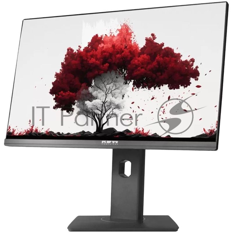 Монитор 23.8" RDW 2402K IPS 1920x1080, 240 Гц, 5 мс, 16:9, 400 кд/м², 1xHDMI, 1xDP, 1xVGA, веб-камера 3 МП, динамики, черный