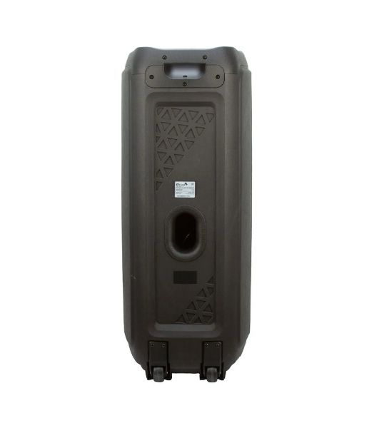 Колонка Eltronic 10" динамик 2шт/10" с TWS 100 Вт черный