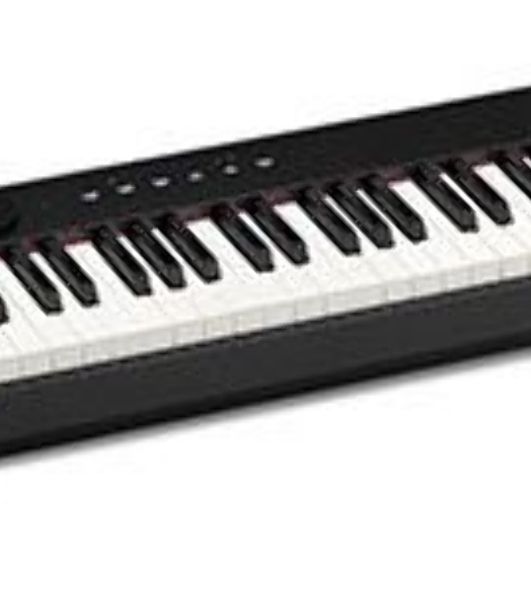 Цифровое фортепиано Casio PRIVIA PX-S1100BK 88клав. черный