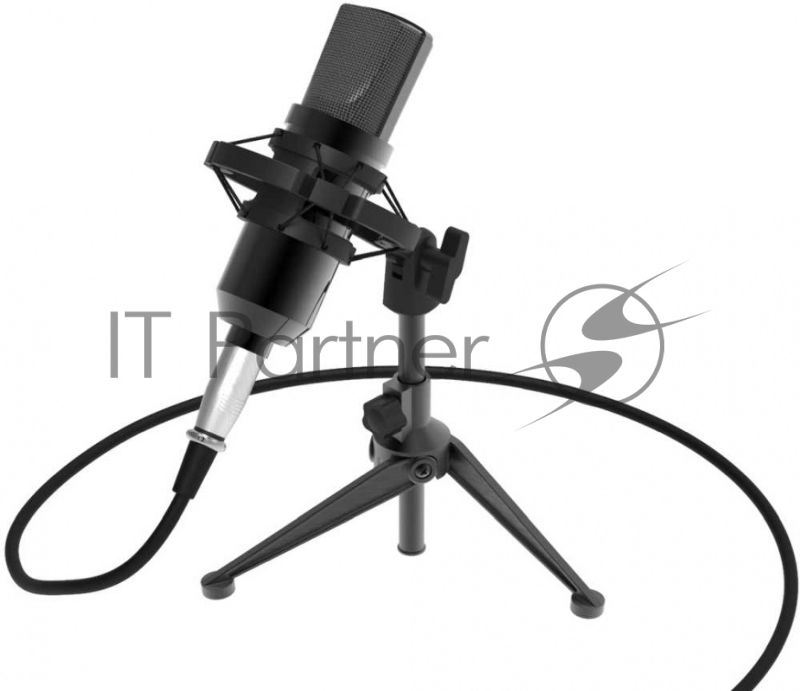 Микрофон RITMIX RDM-160 черный