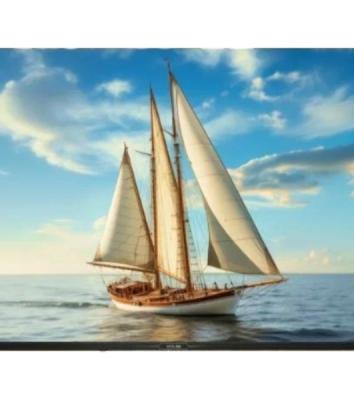 Телевизор SKYLINE 43" 43LT5901 черный LED FHD 60Hz
