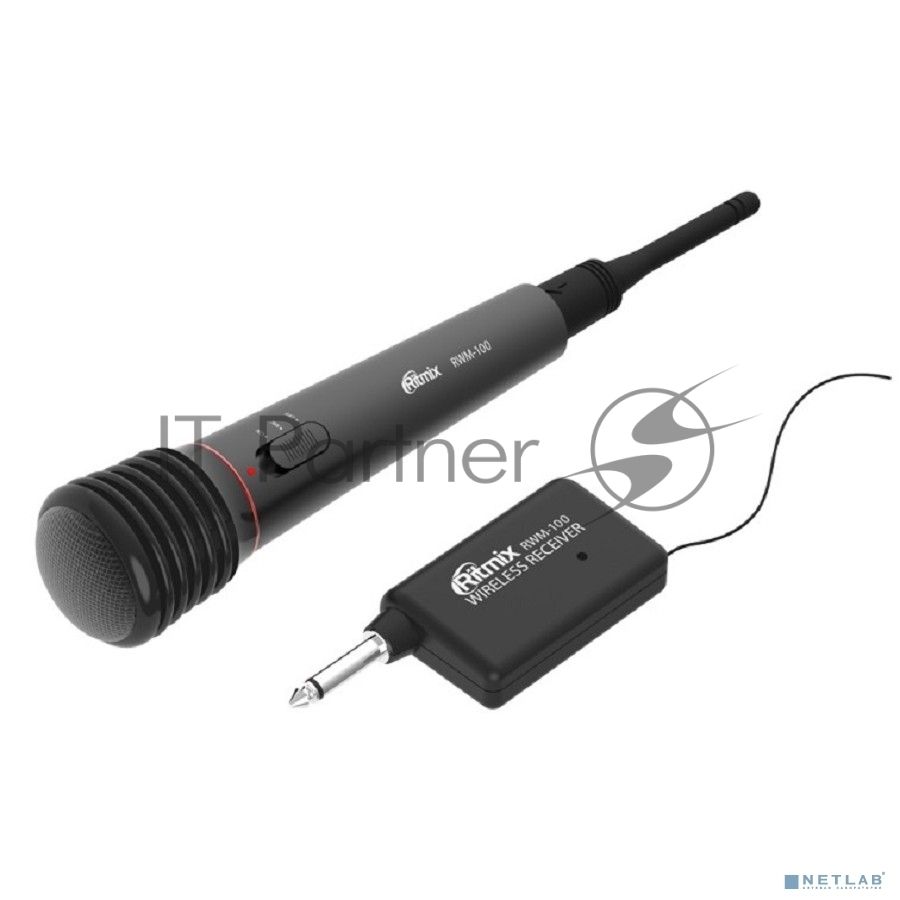 Микрофон Ritmix RWM-100 черный