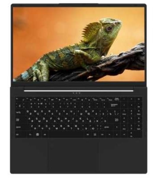 Ноутбук Rikor Pro 5 15 OH-03/15.6"/IPS/Intel Core i5 1235U/16GB/512GB SSD/Iris Xe Graphics/Windows 11 Professional/черный/1.65kg