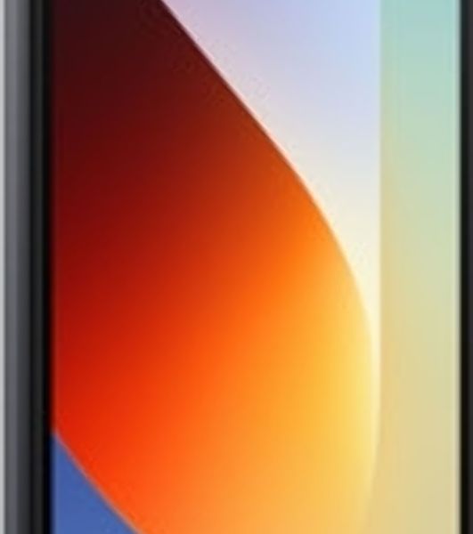 Смартфон Xiaomi Redmi A7 Pro 4Gb, 64Gb, черный