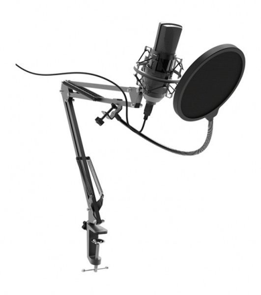 Микрофон Ritmix RDM-180 черный