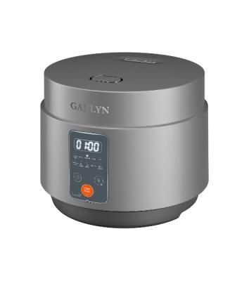 Мультиварка GARLYN MR-Solo 4 Pro