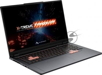 Ноутбук Maibenben X17F-R98956/17.3"/IPS/AMD Ryzen 9 8940HX/24Gb/1Tb SSD/NVIDIA GeForce RTX 5060 8Gb/Windows 11 Home/серый/2.7kg
