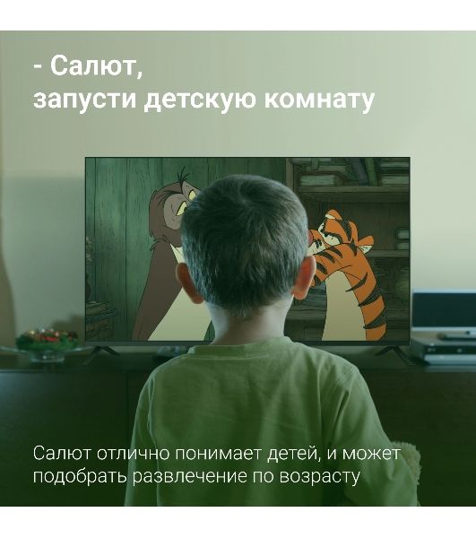 Телевизор Digma 43" DM-LED43SBB36 черный LED FHD 60Hz Салют ТВ