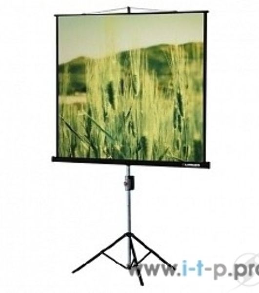 Экраны LUMIEN Lumien Экран на треноге 180x180 см Eco View LEV-100102 1:1 с возможностью настенного крепления