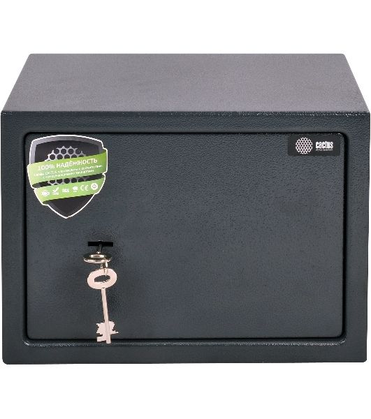 Сейф мебельный Cactus CS-SF-K25 250x350x250мм ключевой