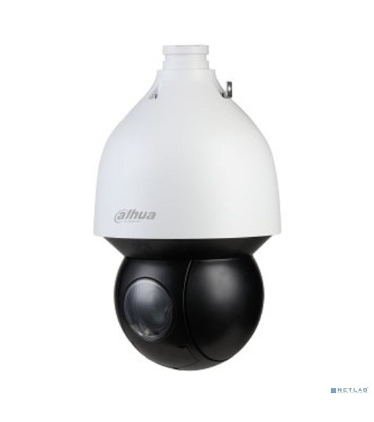 Уличная купольная PTZ IP-видеокамера Starlight с ИИ 4Мп Dahua DH-SD5A432Gb-HNR
