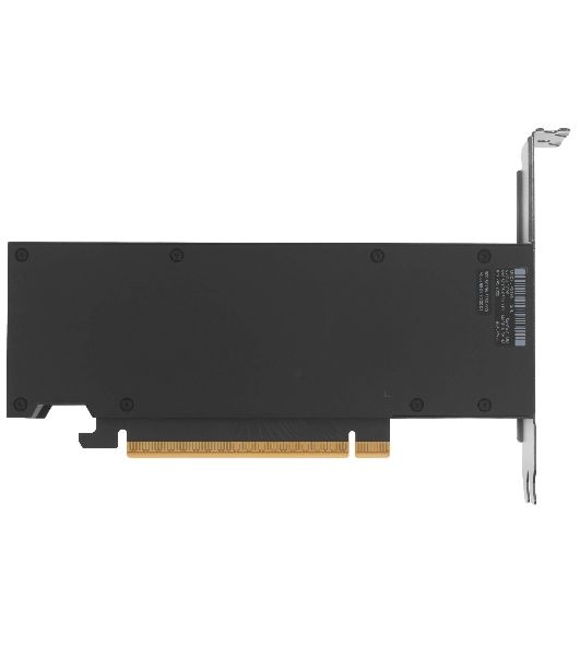 Видеокарта NVIDIA RTX PRO 2000 Blackwell, 16 GB GDDR7, 128 bit, 4xMini DisplayPort, GPU 982 MHz