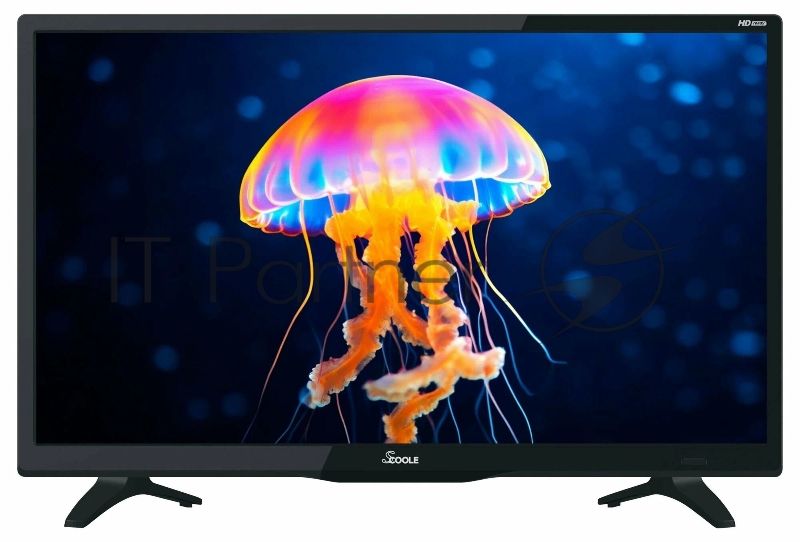 Телевизор Scoole 24" SL-LED24S90T2S черный LED HD 60Hz Android