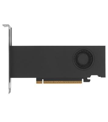 Видеокарта NVIDIA RTX PRO 2000 Blackwell, 16 GB GDDR7, 128 bit, 4xMini DisplayPort, GPU 982 MHz