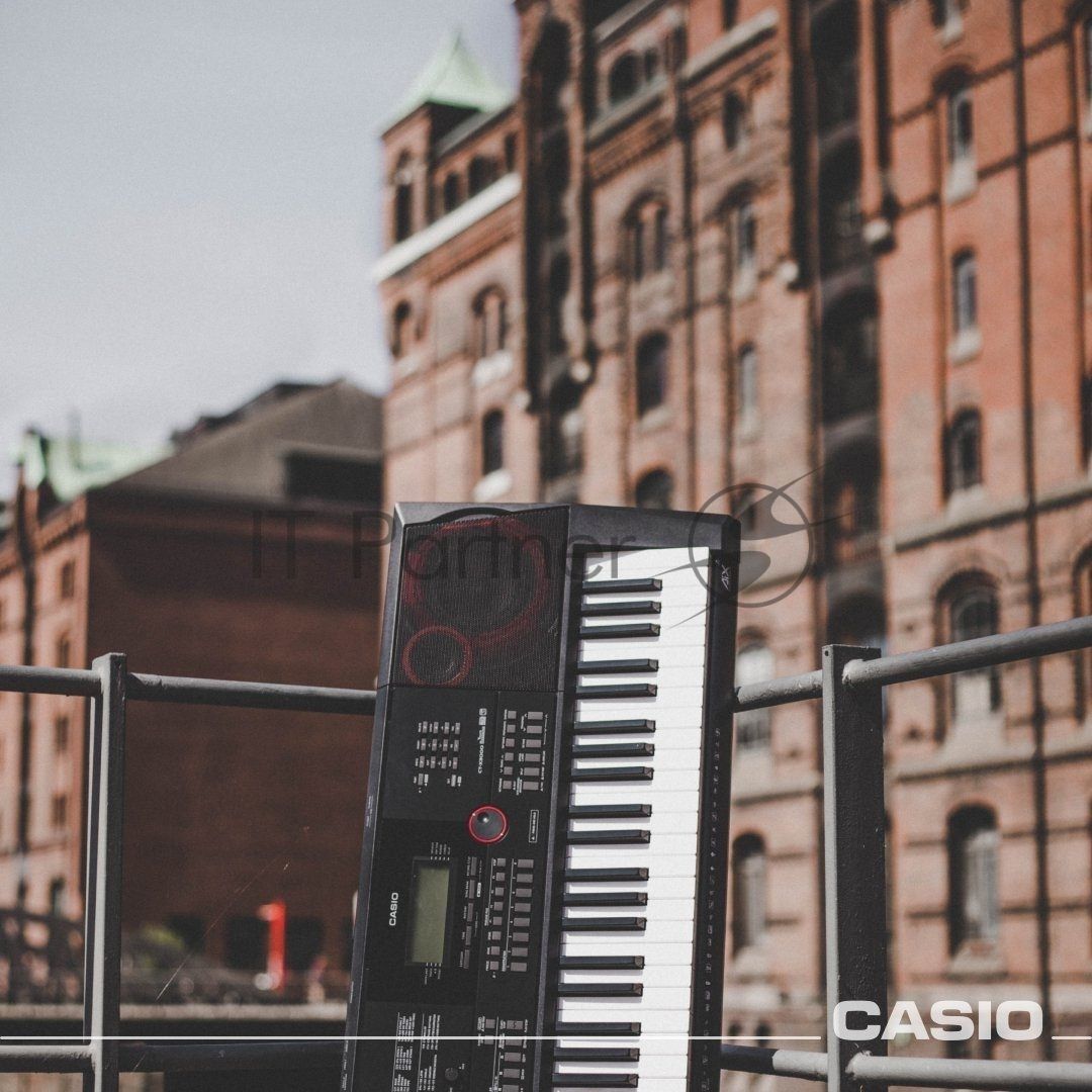 Синтезатор Casio CT-X3000 61клав. черный
