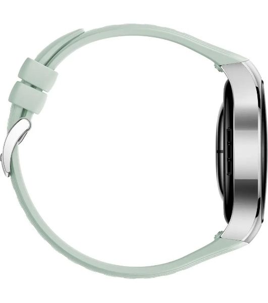 Умные часы HUAWEI Watch 5 Soc-L19F, 1.38" AMOLED, 4G, GPS, IP69, зеленый / серебристый