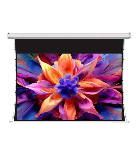 Экран для проектора S'OK SCPSMT-221x125ED30-GR 100 " 16:9 настенно-потолочный, моторизованный с боковым натяжением, серый, ED30 см