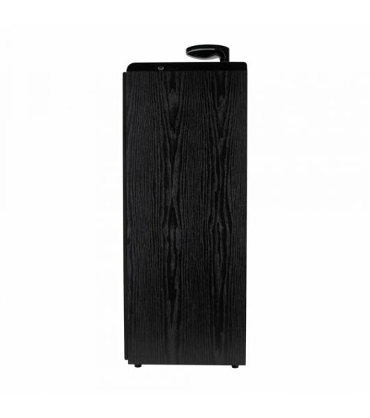 Колонки ELTRONIC (30-49 черный) HOME SOUND - 10 ", черный