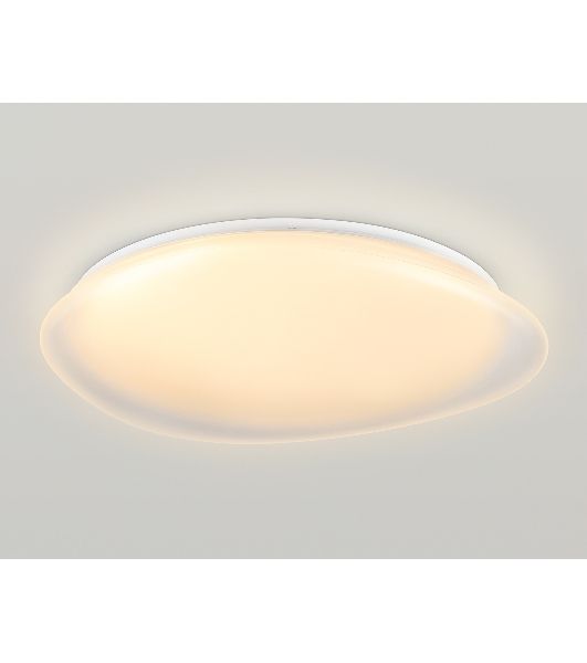 Светодиодный светильник Ambrella light FZ1615 FR матовый IP20 60W 3000-6500K+RGB 510*100 (ПДУ ИК)