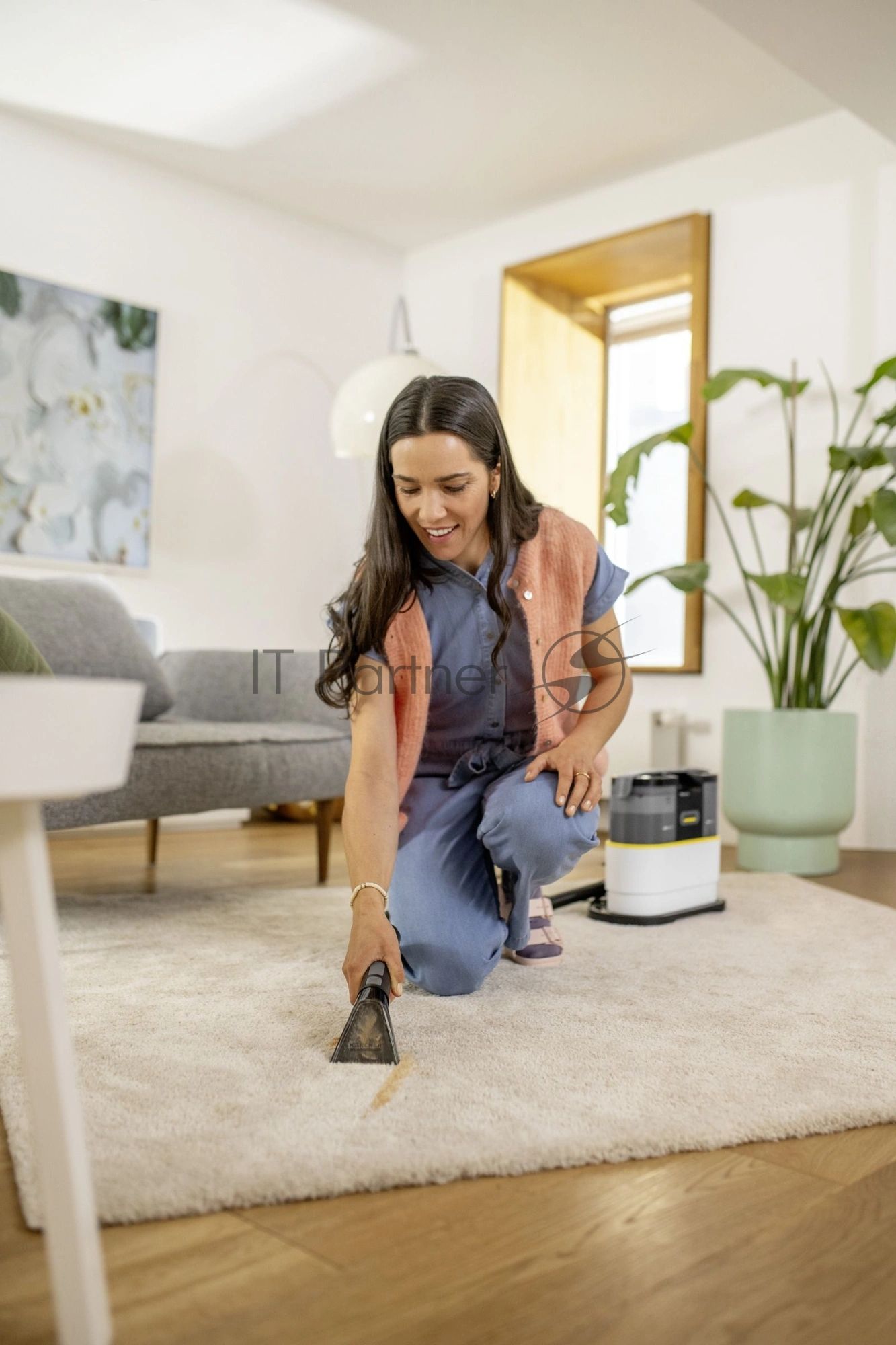 Пылесос моющий Karcher SE 2 Spot Care *EU белый/черный, 450 Вт, уборка влажная, пылесборник контейнер 0.8 л