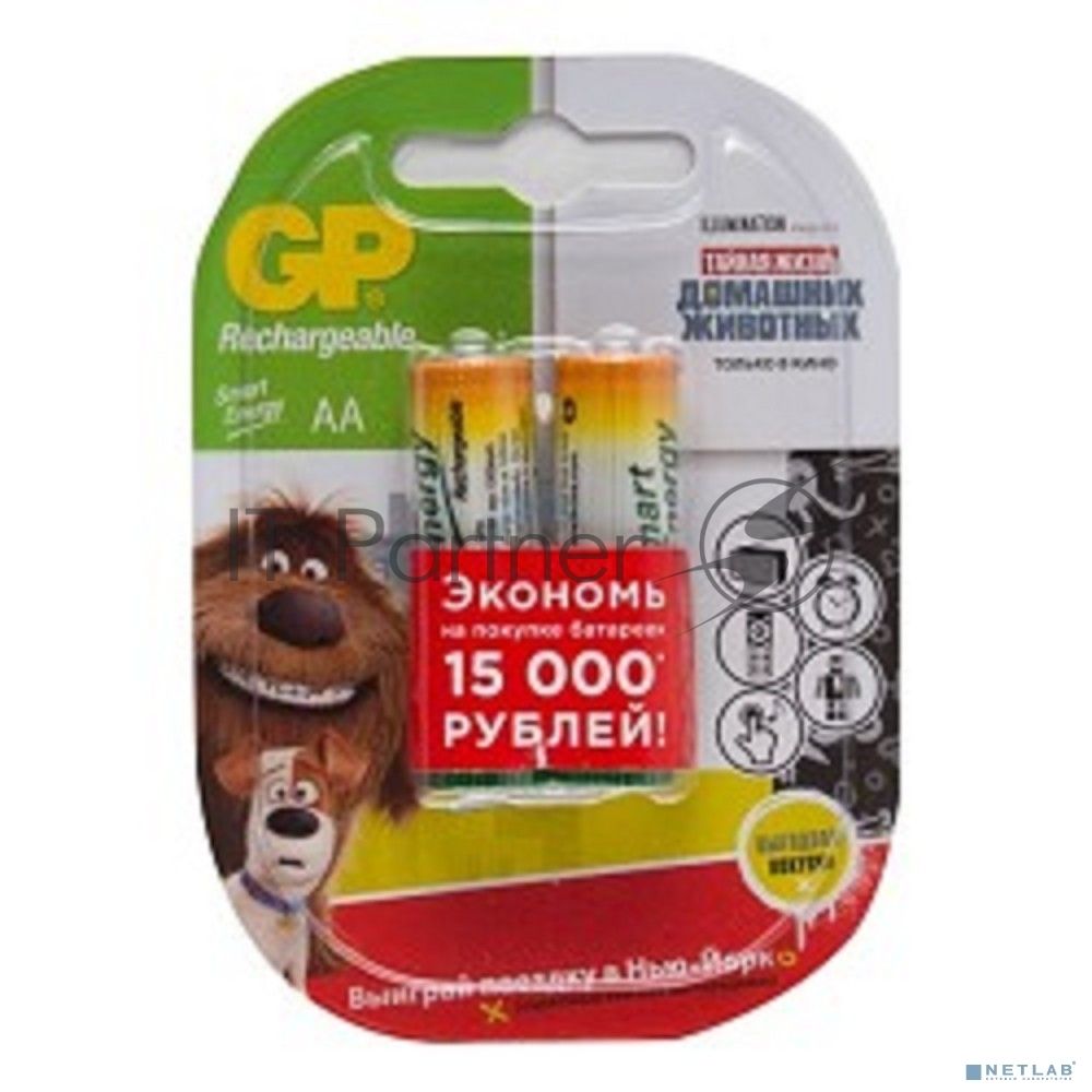 Аккумулятор GP Smart Energy 100AAHCSV AA NiMH 1000mAh (2шт)
