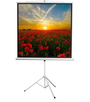 Экран 172x172см Digis Kontur-D DSKD-1104 1:1 напольный рулонный