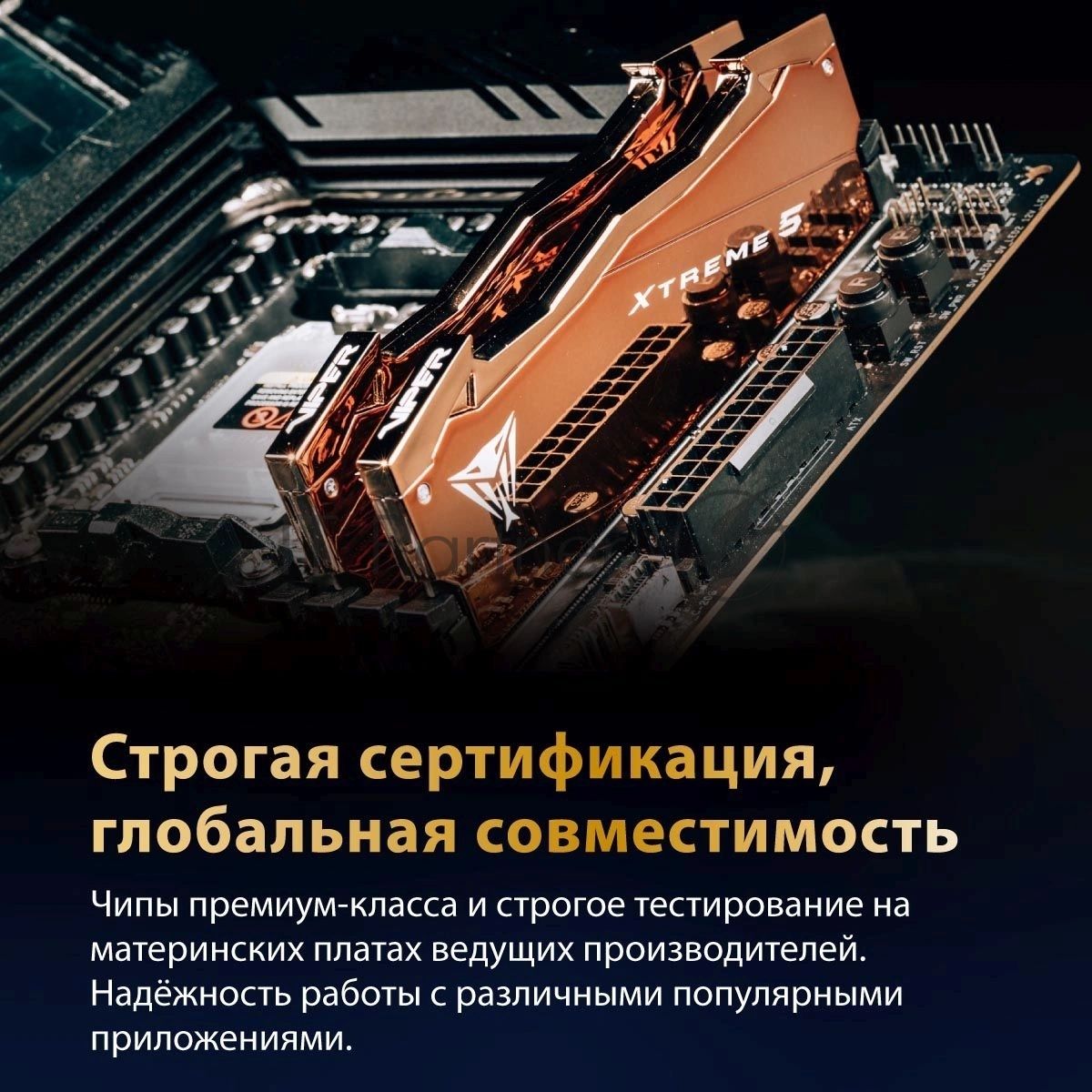 Оперативная память Patriot Viper Xtreme 5 Aurum, DDR5, 32GB (2x16GB), 8000 MHz, CL38, с радиатором, золотистый