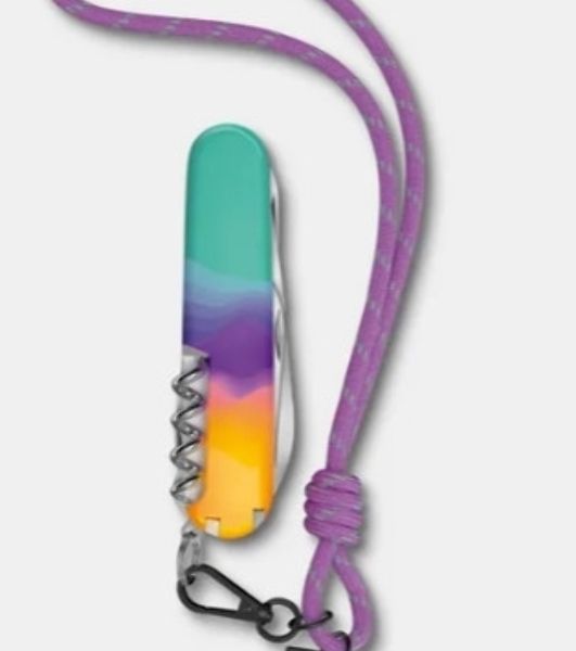Мультитул Victorinox Companion Slim Alox (0.8170.28) 93мм 6функц. золотистый карт.коробка