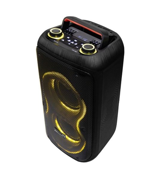 Колонка 06" (20-91 DANCE BOX 600) динамик 2шт/6.5" ELTRONIC с TWS