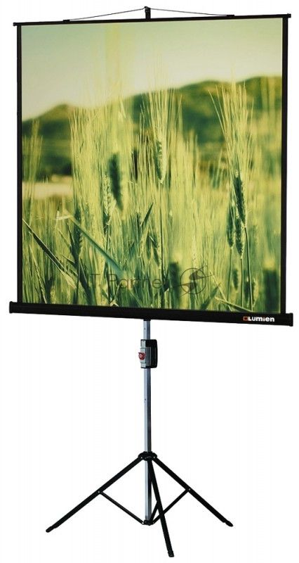 Экраны LUMIEN LUMIEN Master Picture LMP-100101, 127х127 см, 1:1