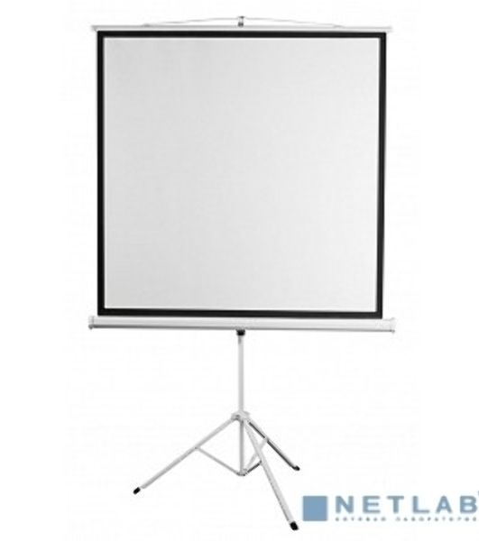 Экран 150x150см Digis Kontur-D DSKD-1103 1:1 напольный рулонный