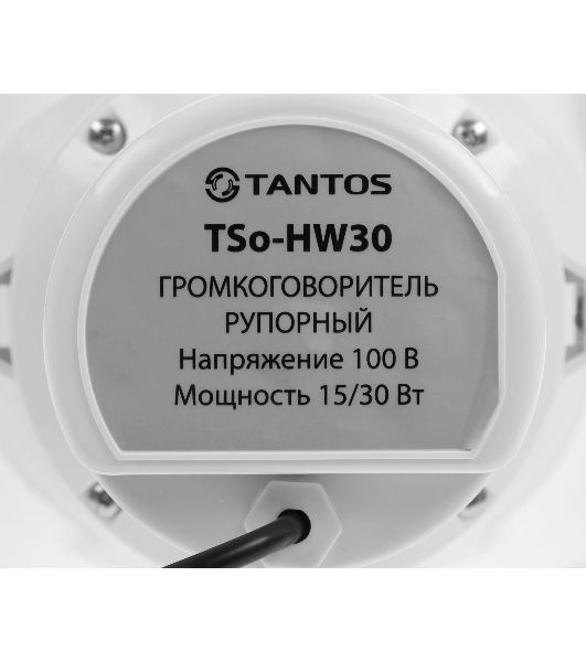 Громкоговоритель Tantos TSo-HW30 рупорный 30Вт белый