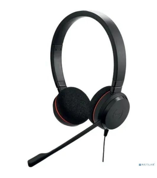 Наушники с микрофоном Jabra Evolve 20 MS Duo черный 1.2м накладные USB оголовье (4999-823-189)